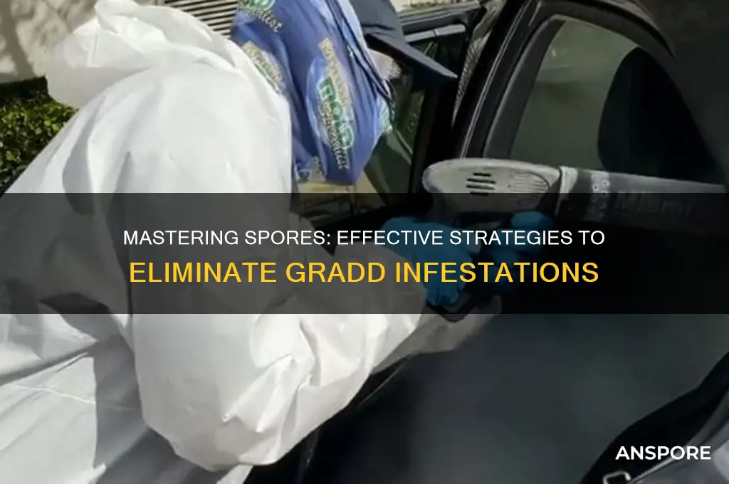 how to kill gradd in spors