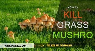 Get Rid of Lawn Mushrooms: Quick and Easy Guide