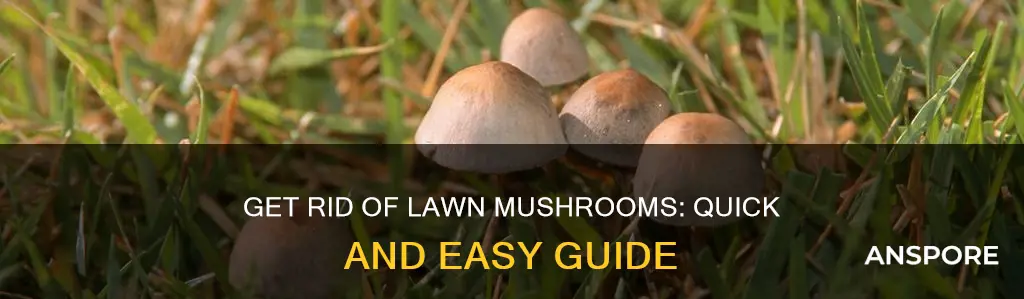 how to kill grass mushrooms