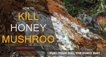 Eradicating Honey Mushrooms: A Comprehensive Guide