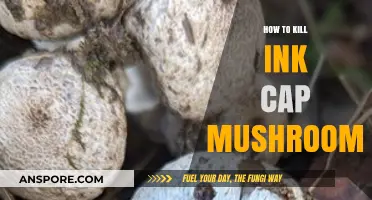 Effective Methods to Eradicate Ink Cap Mushrooms in Your Garden