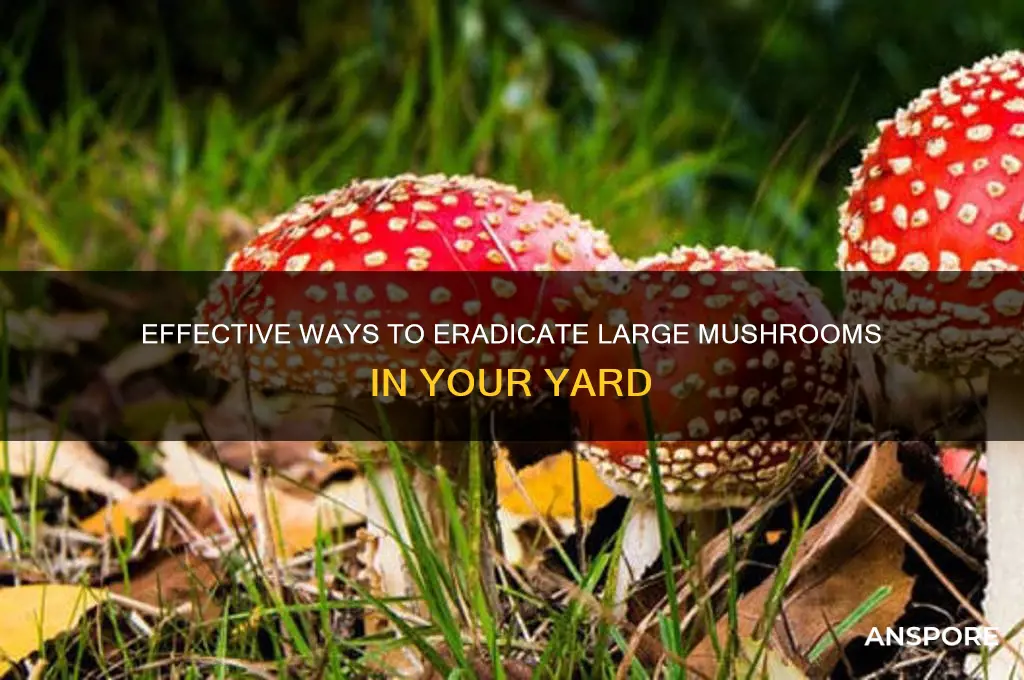 how to kill large mushrooms in yard