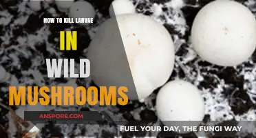 Effective Methods to Eradicate Larvae in Wild Mushrooms Safely