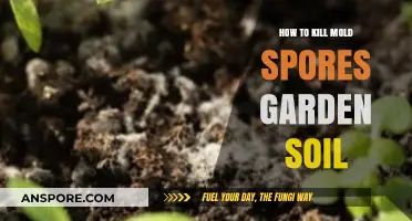 Effective Methods to Eliminate Mold Spores in Garden Soil