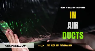Effective Ways to Eliminate Mold Spores in Your Air Ducts
