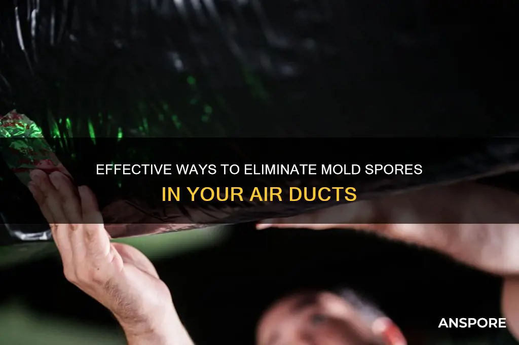 how to kill mold spores in air ducts