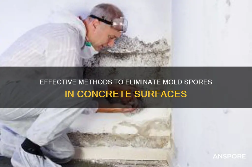 how to kill mold spores in concrete