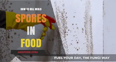 Effective Methods to Eliminate Mold Spores in Your Food Safely