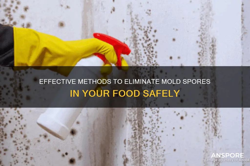 how to kill mold spores in food