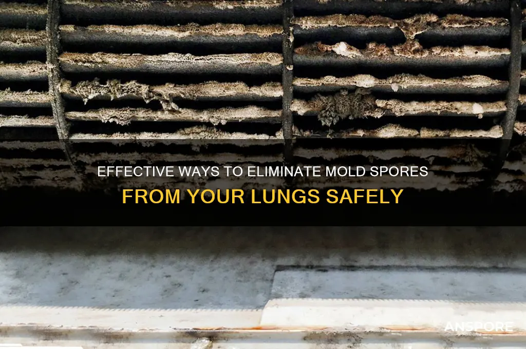 how to kill mold spores in lungs