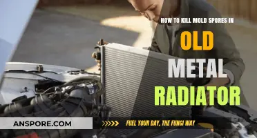 Effective Methods to Eliminate Mold Spores in Old Metal Radiators