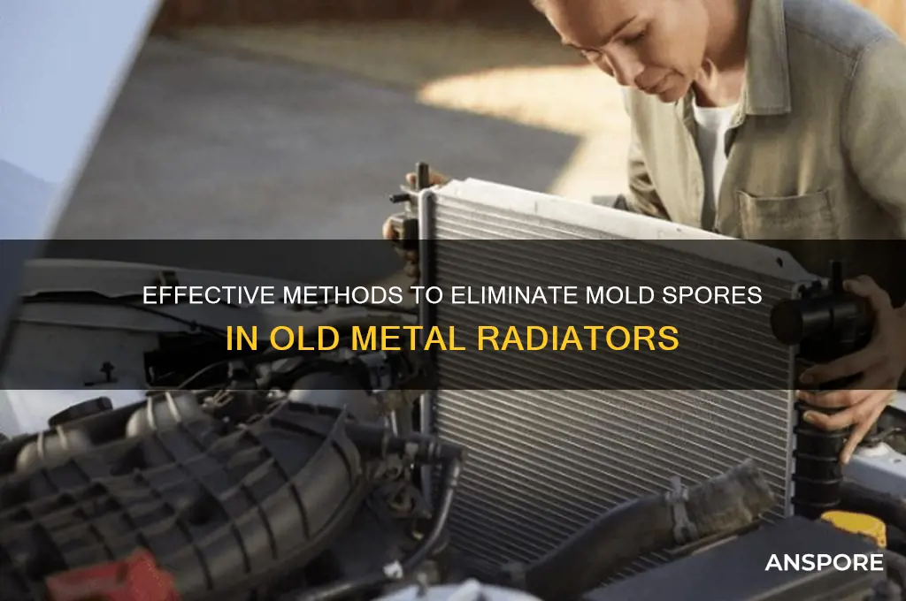 how to kill mold spores in old metal radiator