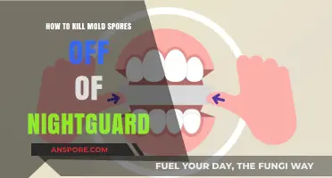 Effective Ways to Eliminate Mold Spores from Your Nightguard