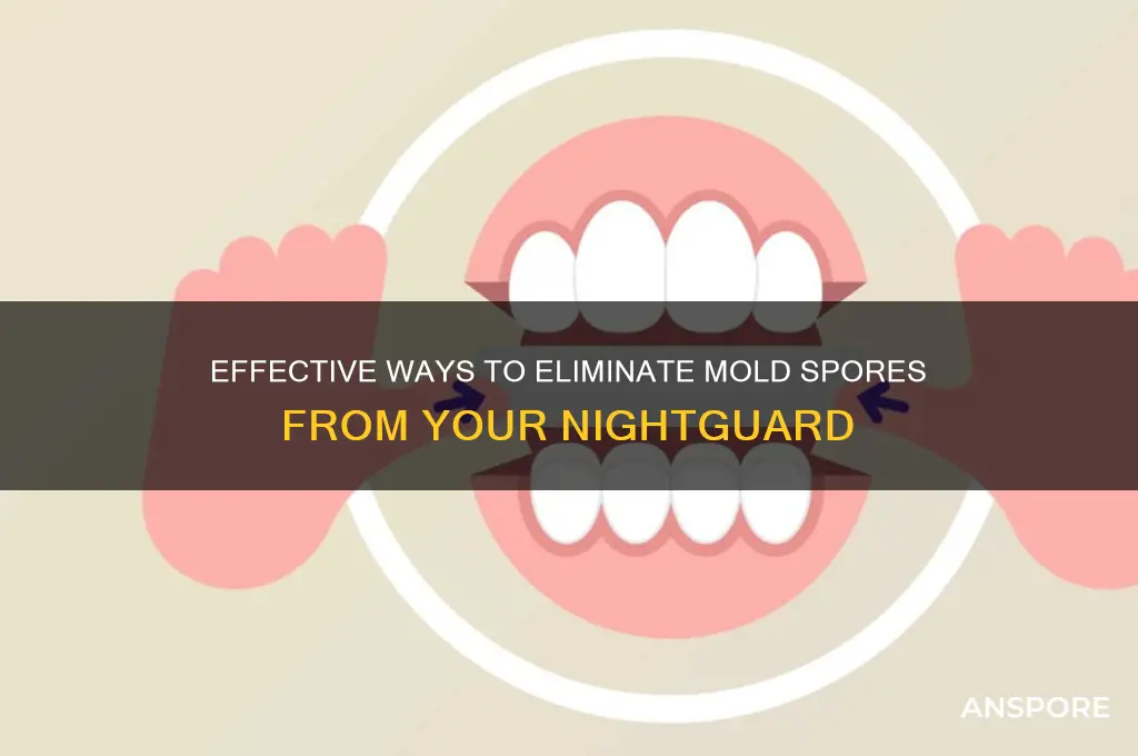 how to kill mold spores off of nightguard