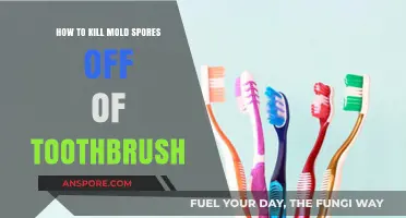 Effective Ways to Eliminate Mold Spores from Your Toothbrush Safely