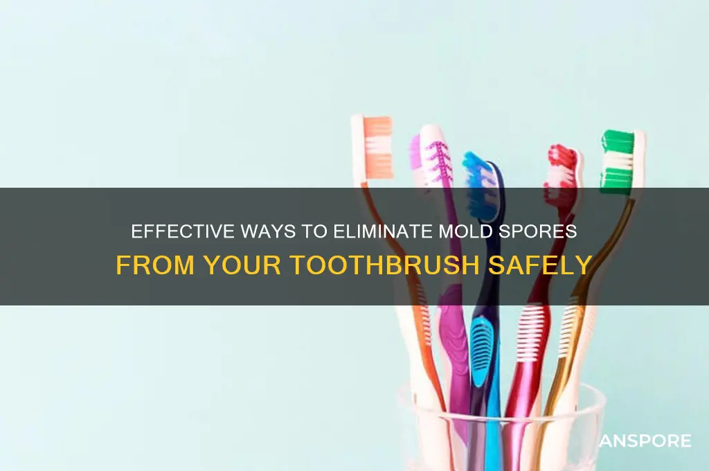 how to kill mold spores off of toothbrush