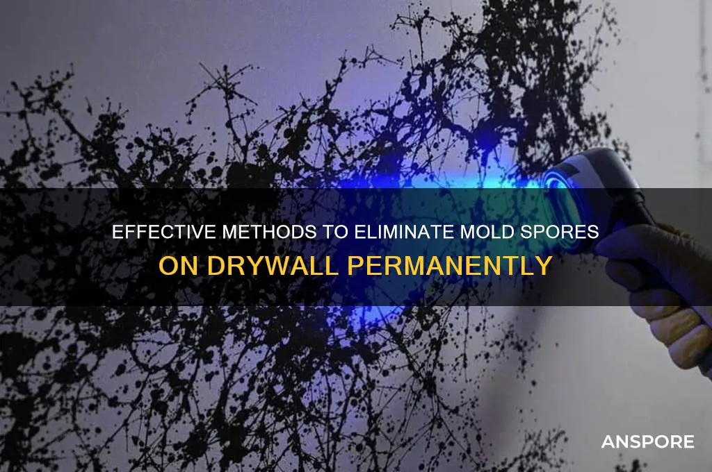 how to kill mold spores on drywall