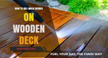 Effective Ways to Eliminate Mold Spores on Your Wooden Deck