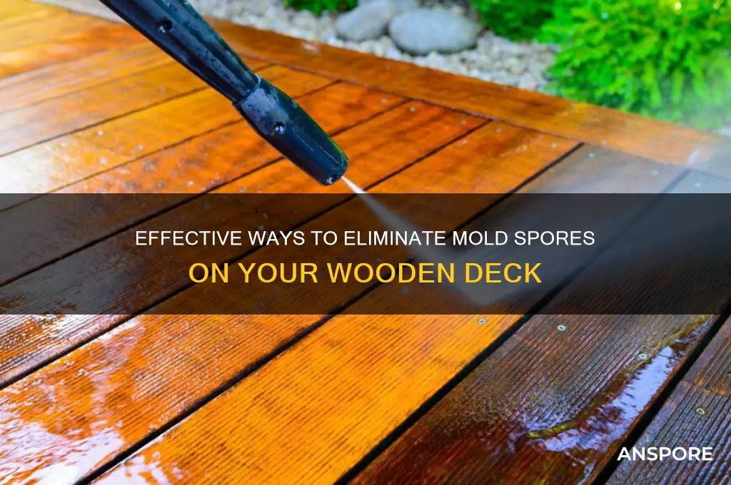 how to kill mold spores on wooden deck