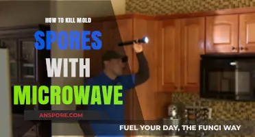 Microwave Mold Remediation: Effective Techniques to Eliminate Stubborn Spores Safely