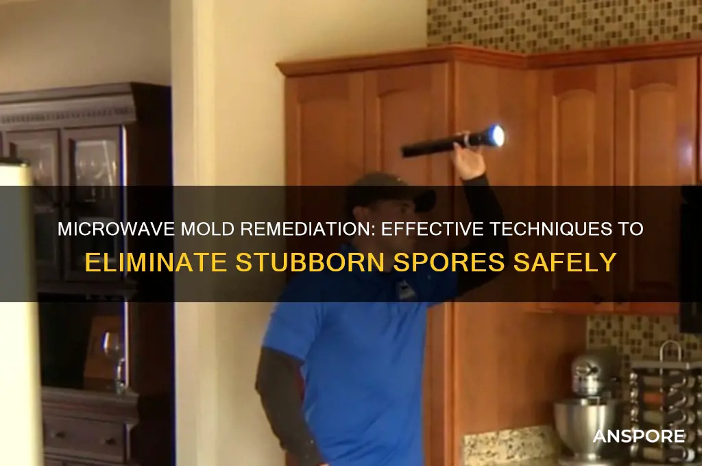 how to kill mold spores with microwave