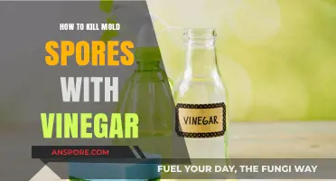 Effective Vinegar Methods to Eliminate Mold Spores in Your Home