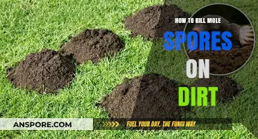 Effective Methods to Eliminate Mole Spores from Garden Soil
