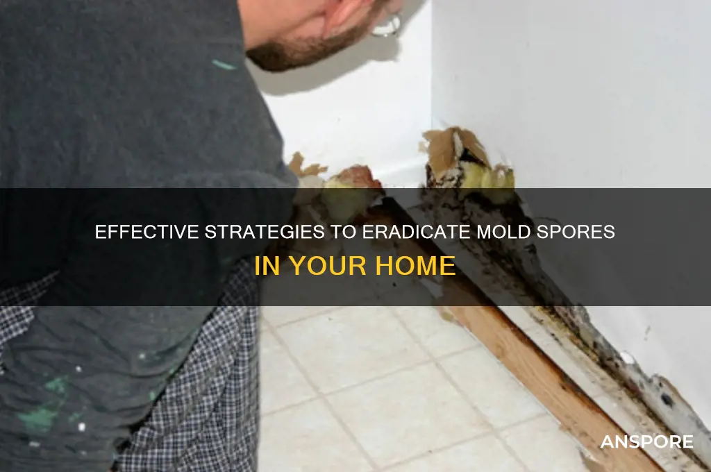 how to kill mols spores