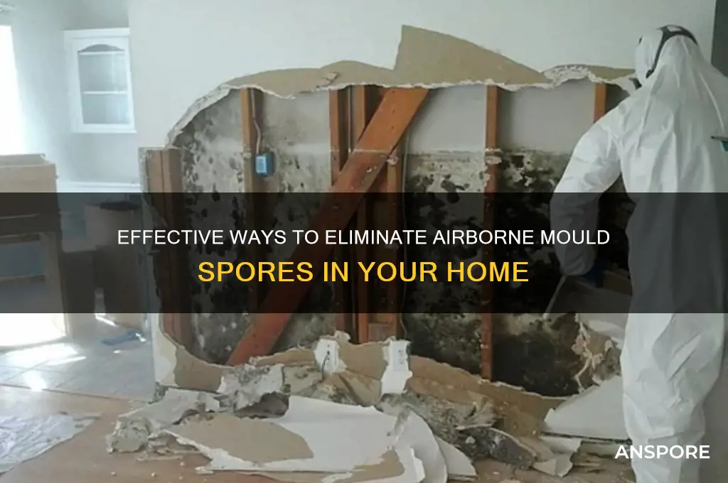 how to kill mould spores in the air