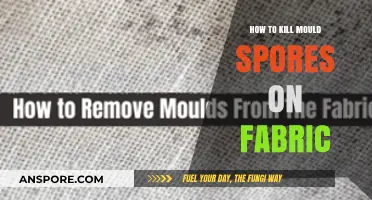 Effective Ways to Eliminate Mould Spores from Fabric Surfaces