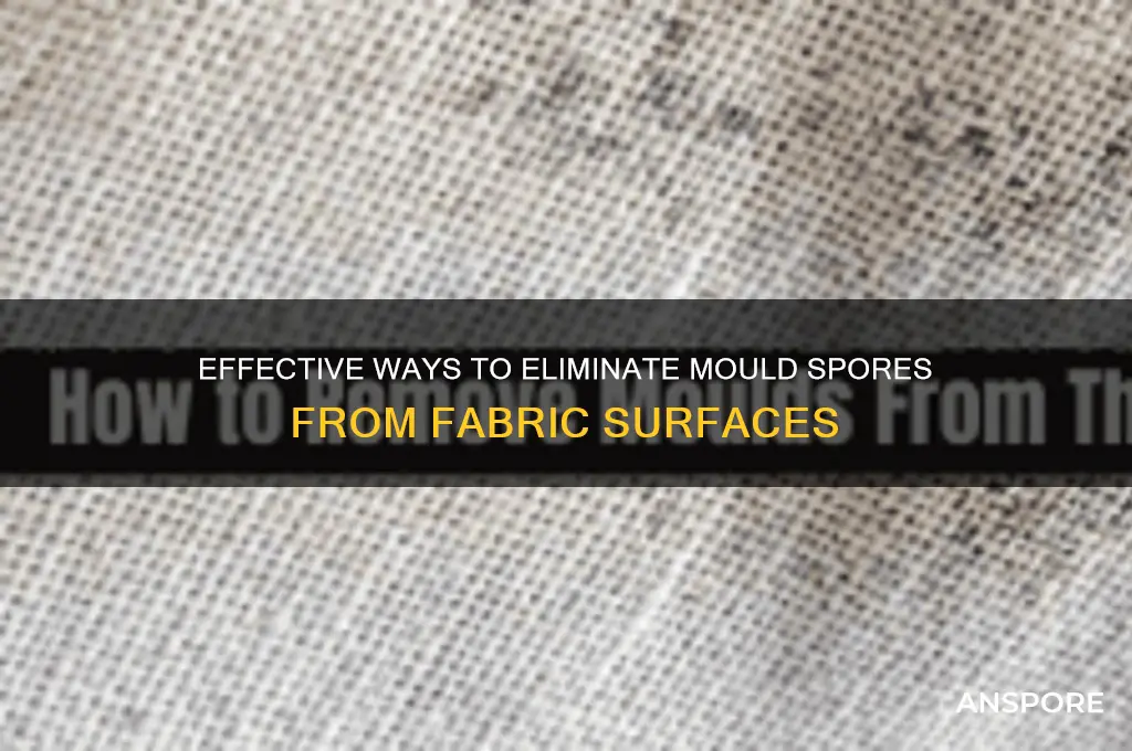 how to kill mould spores on fabric