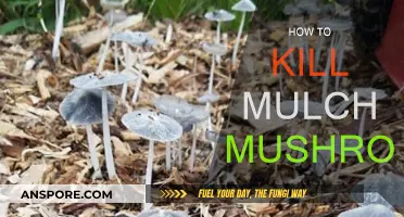 Eradicating Mushrooms from Mulch: A Step-by-Step Guide