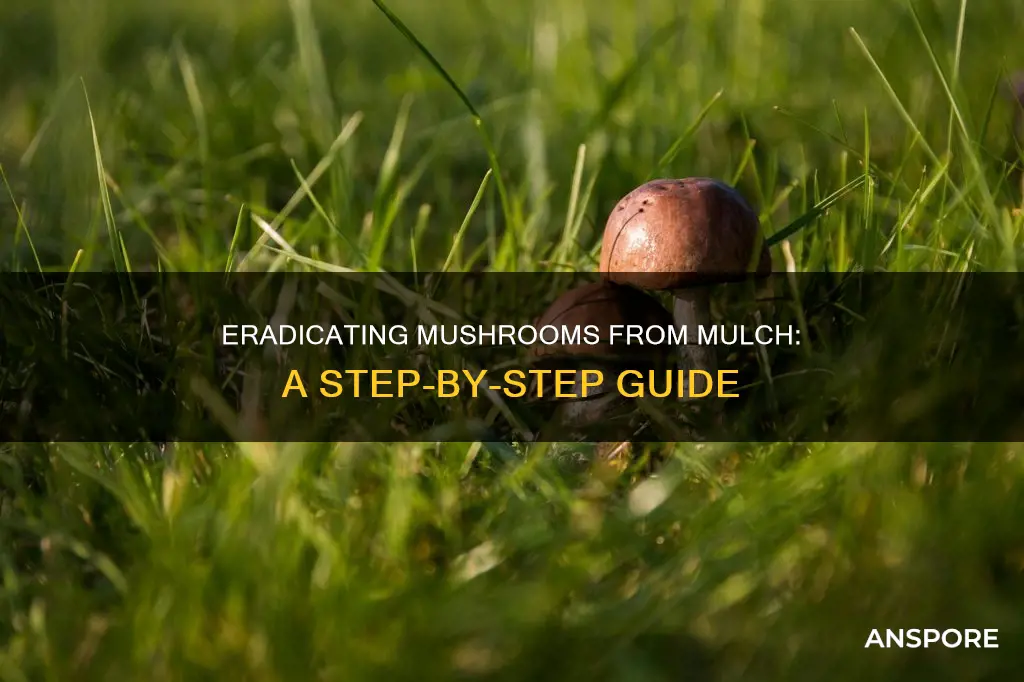 how to kill mulch mushrooms