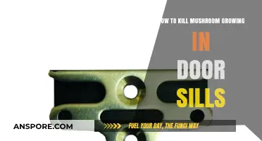 Effective Ways to Eliminate Mushrooms Growing in Door Sills