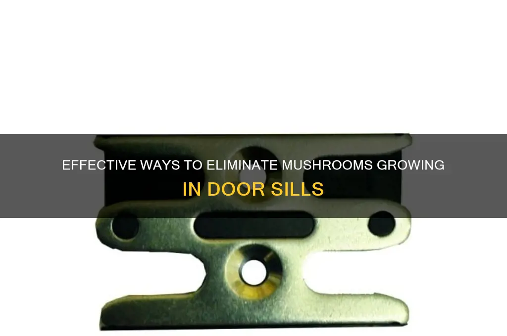 how to kill mushroom growing in door sills