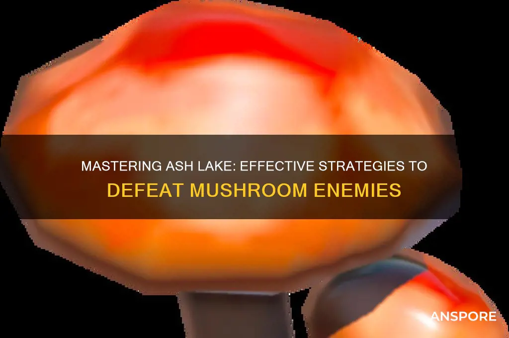 how to kill mushroom guys in ash lake
