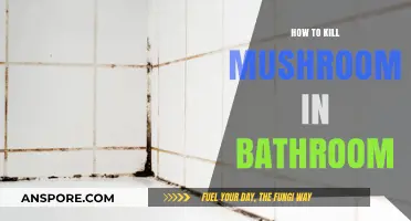 Effective Ways to Eliminate Bathroom Mushrooms and Prevent Regrowth