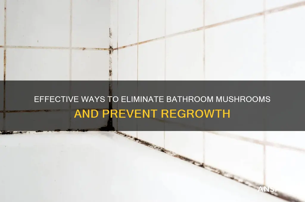 how to kill mushroom in bathroom