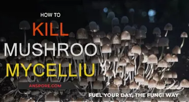 Destroying Mushroom Mycelium: Effective Techniques to Eradicate the Fungi
