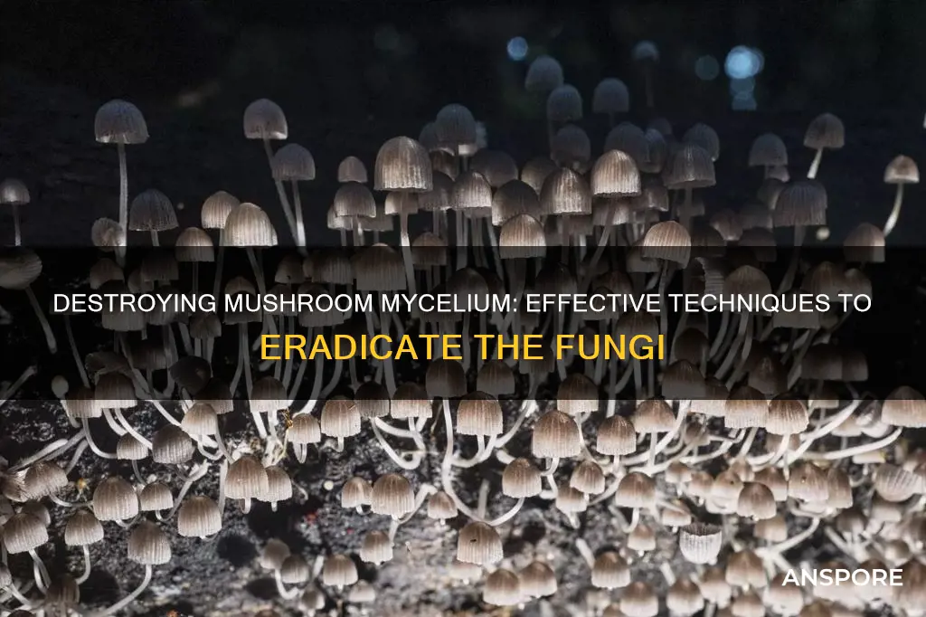 how to kill mushroom mycellium
