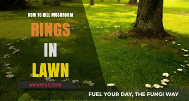 Effective Ways to Eliminate Mushroom Rings in Your Lawn