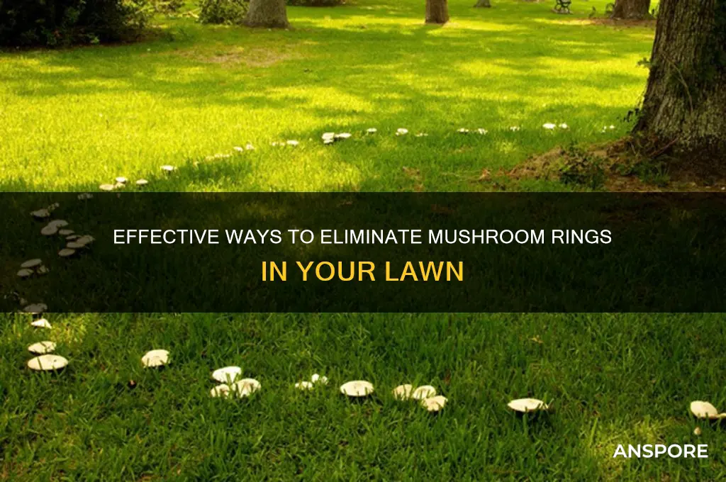 how to kill mushroom rings in lawn