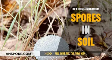 Effective Methods to Eradicate Mushroom Spores from Your Soil