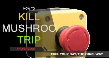 Killing a Mushroom High: Quick and Easy Methods