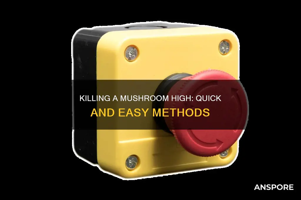 how to kill mushroom trip