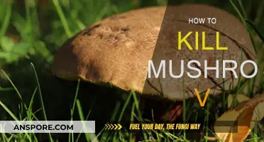 Eradicating Mushroom V: A Step-by-Step Guide