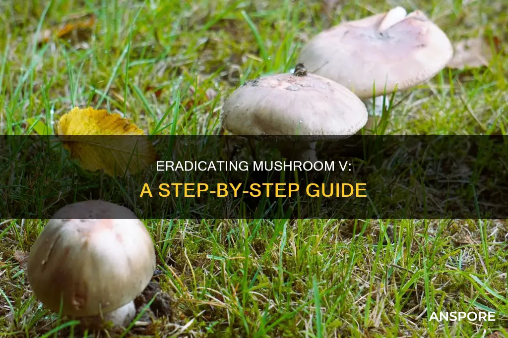 how to kill mushroom v