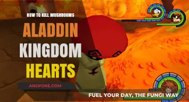 Defeating Mushrooms in Aladdin's World: Kingdom Hearts Battle Guide
