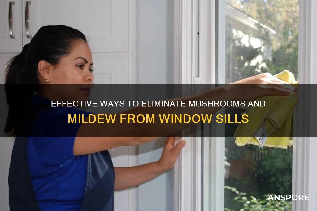 how to kill mushrooms and mildue in window sills