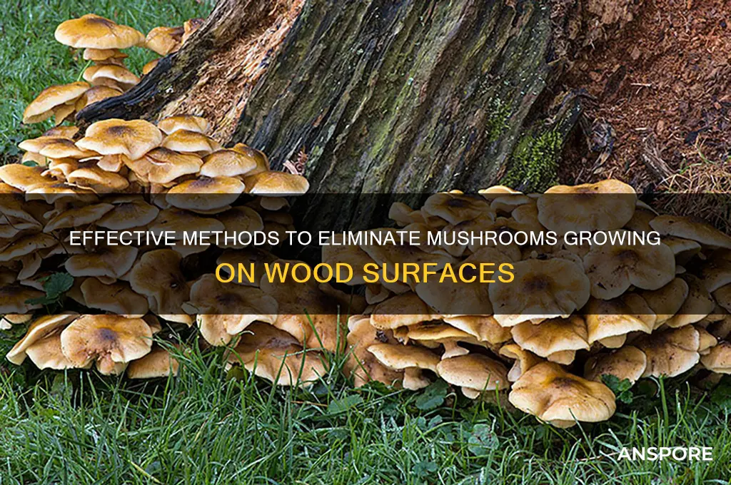how to kill mushrooms growing on wood